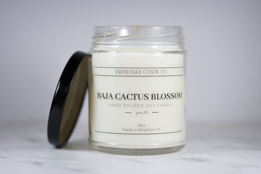 Baja Cactus Blossom